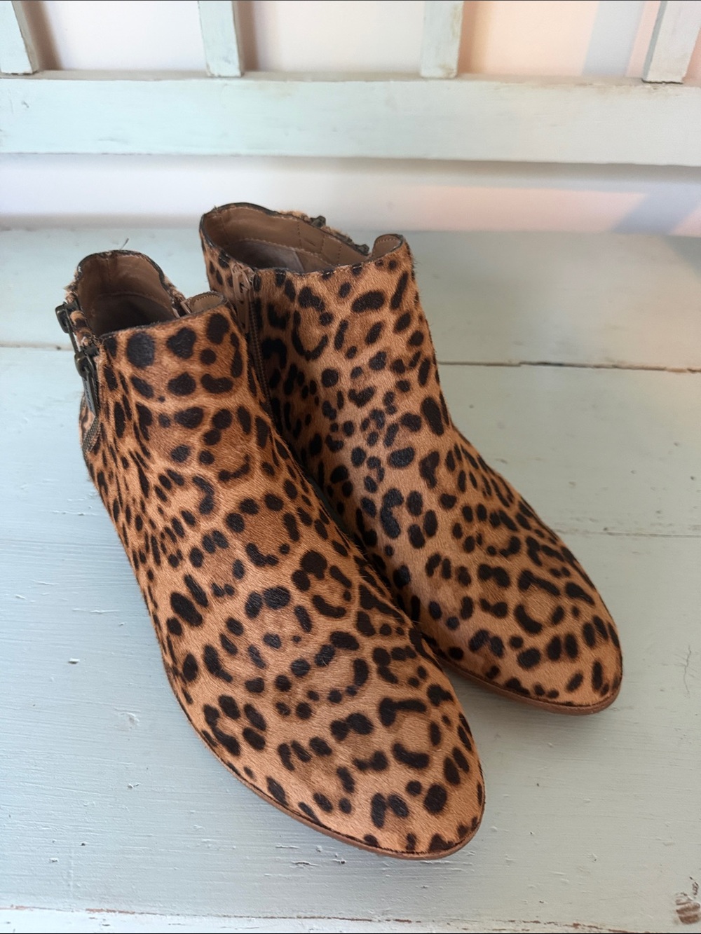 Gianni Bini Leopard Print Ankle Boots - Brown/Black